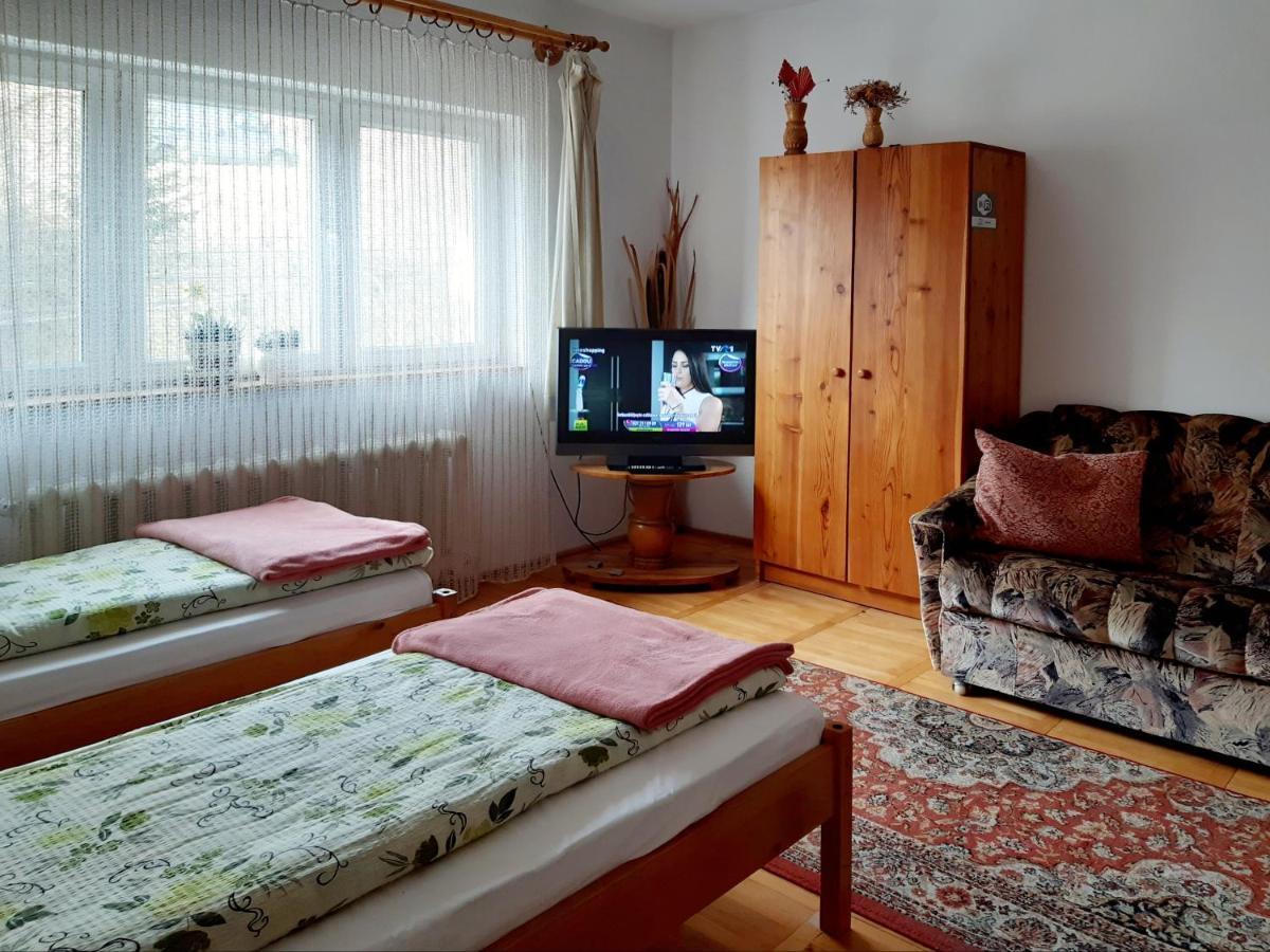 Pensiunea Bordas Panzio Sfântu-Gheorghe エクステリア 写真